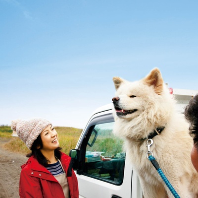 秋田犬蓬夫剧照的剧照