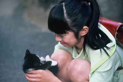 小猫的泪剧照的剧照