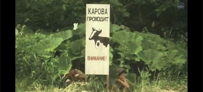 消失在远空中剧照的剧照