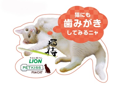 猫侍：玉之丞进军江户剧照的剧照