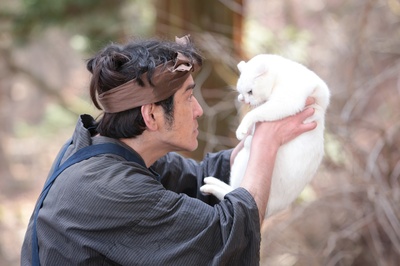 猫侍：玉之丞进军江户剧照的剧照