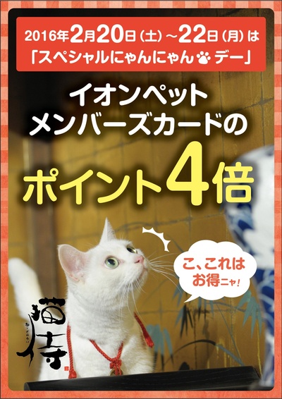 猫侍：玉之丞进军江户剧照的剧照