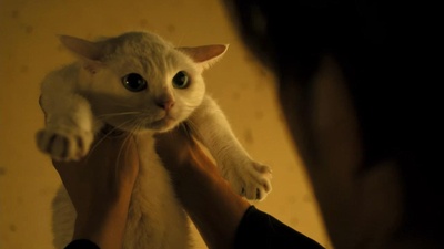 猫侍 剧场版剧照的剧照