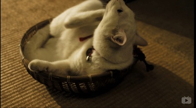 猫侍 剧场版剧照的剧照