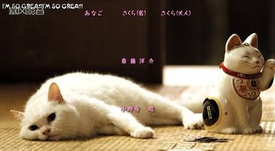 猫侍 剧场版剧照的剧照