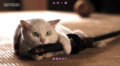 猫侍 剧场版剧照的剧照