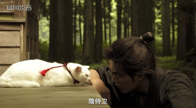 猫侍 剧场版剧照的剧照