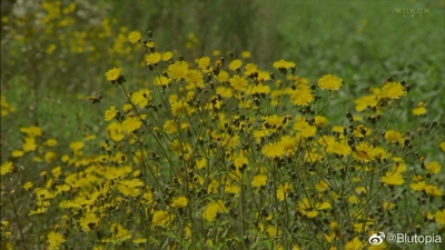 赤月剧照的剧照