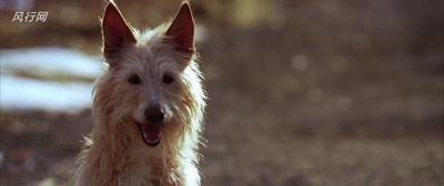 触不到的恋人剧照的剧照