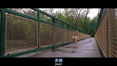 触不到的恋人剧照的剧照