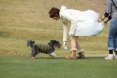 杀手·婚礼之路剧照的剧照