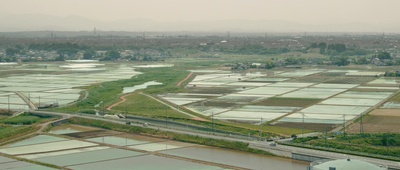 傀儡之城剧照的剧照