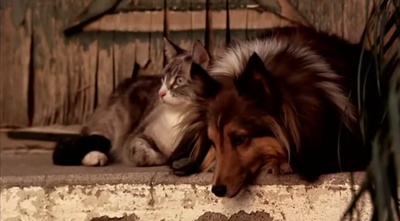 不准掉头剧照的剧照