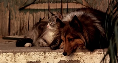 不准掉头剧照的剧照