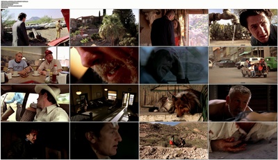 不准掉头剧照的剧照