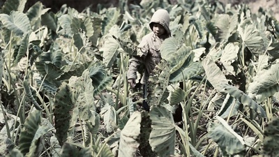 远行剧照的剧照