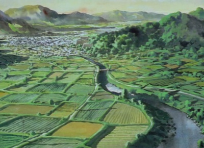 大提琴手剧照的剧照