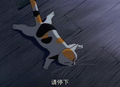 大提琴手剧照的剧照