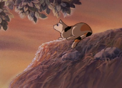 大提琴手剧照的剧照