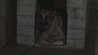 妙探寻凶剧照的剧照