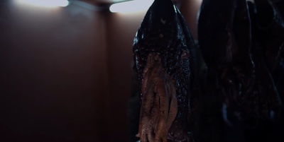 海滩救援队之食人海怪剧照的剧照