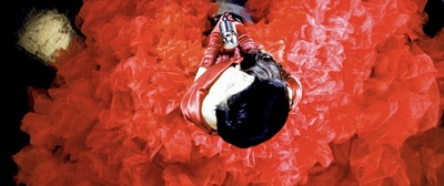 东风雨剧照的剧照