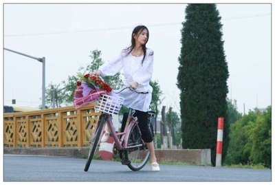 玫瑰余香剧照的剧照