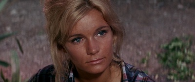 太阳黑暗点剧照的剧照