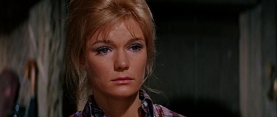 太阳黑暗点剧照的剧照