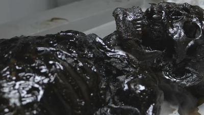 嗜血狂魔剧照的剧照