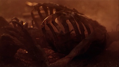 嗜血狂魔剧照的剧照