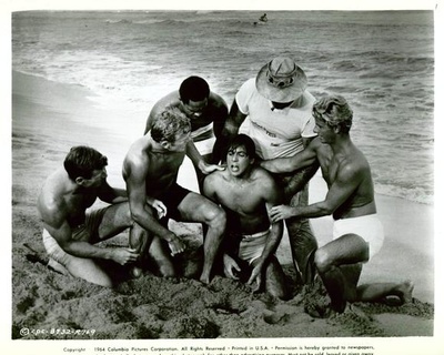 狂野冲浪骑士剧照的剧照