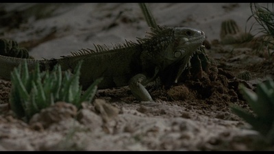 宇宙静悄悄剧照的剧照