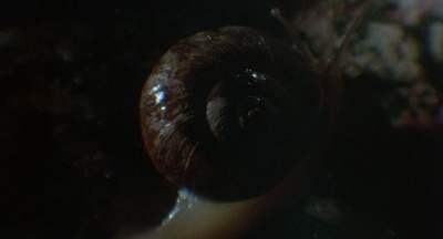 宇宙静悄悄剧照的剧照