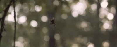 麦迪逊小镇剧照的剧照