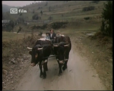 黄金岁月剧照的剧照