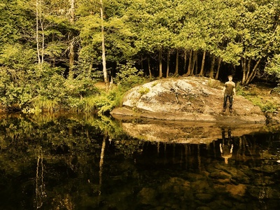 混沌漫步剧照的剧照