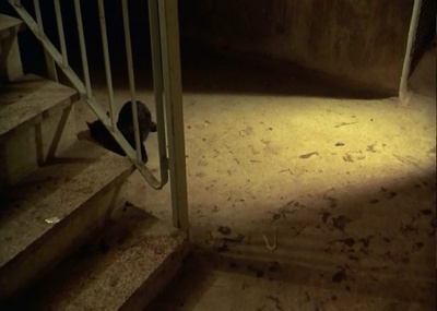 赤裸裸剧照的剧照