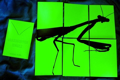 蚂蚱丛林剧照的剧照