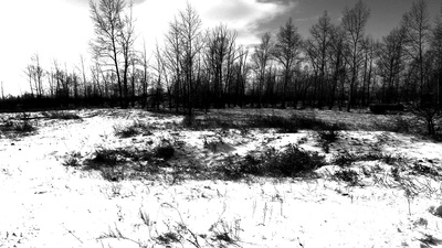 溃烂 愈合 掩藏剧照的剧照