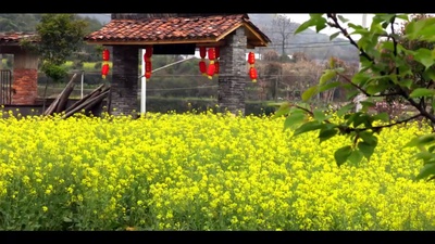 溃烂 愈合 掩藏剧照的剧照