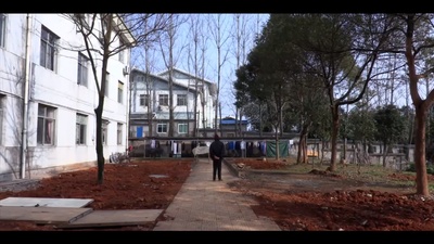 溃烂 愈合 掩藏剧照的剧照