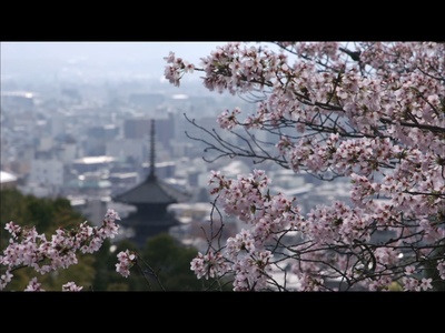 爱与荣耀的传奇：祗园生活剧照的剧照