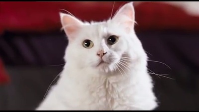 邮政恐怖份子剧照的剧照