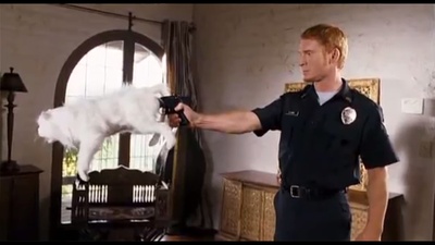 邮政恐怖份子剧照的剧照