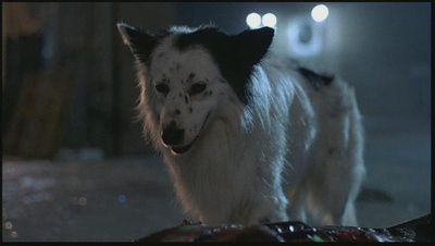 隐藏杀手剧照的剧照