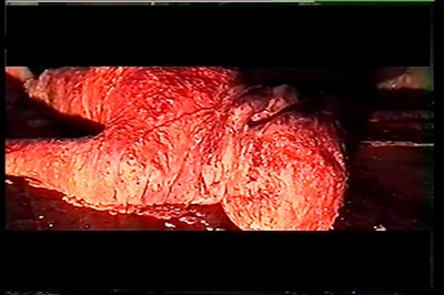 突变2 死亡代码剧照的剧照