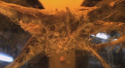 突变异种剧照的剧照