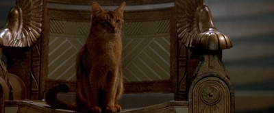 星际之门剧照的剧照