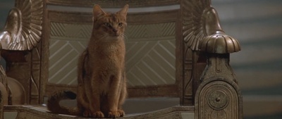 星际之门剧照的剧照